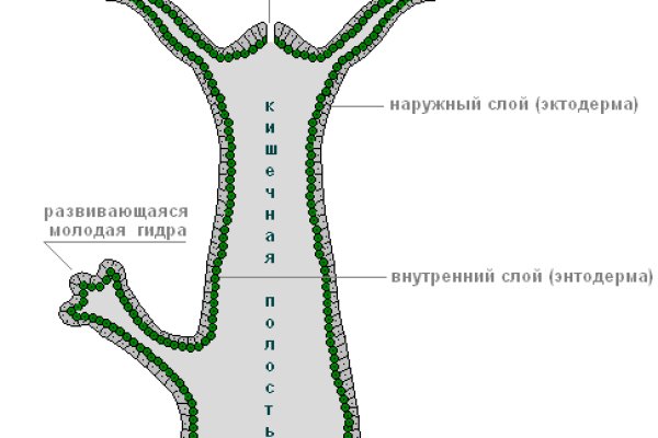 Кракен 12 сайт