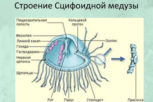 Кракен тгк